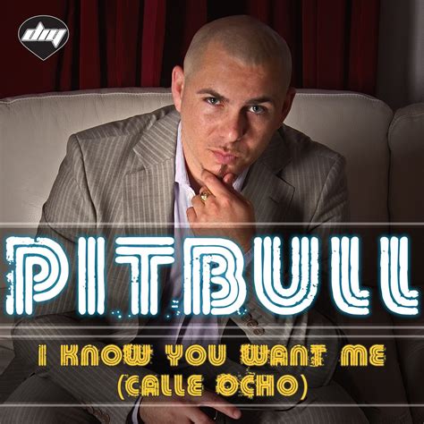 pitbull i know you want me